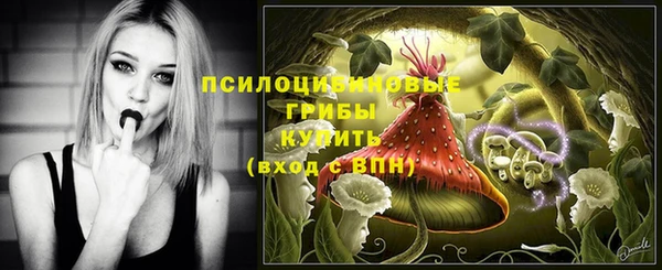 меф Горняк