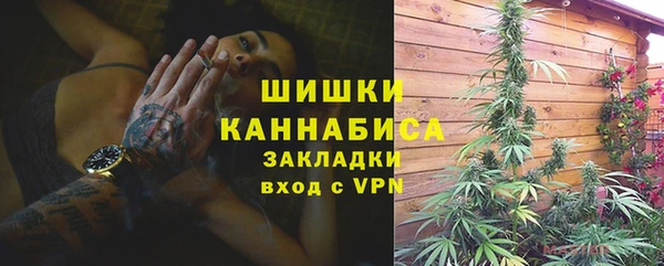 дурь Гусиноозёрск