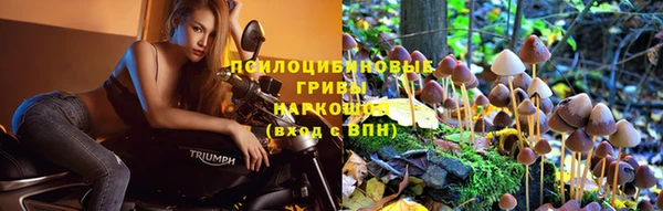 меф Горняк