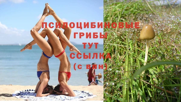 меф Горняк