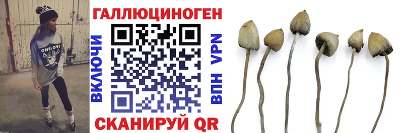 Псилоцибиновые грибы Cubensis  Олёкминск 
