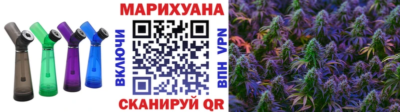 где продают   Олёкминск  Бошки Шишки сатива 